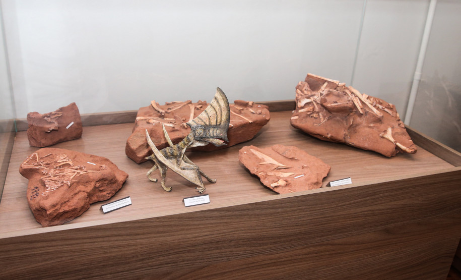 Vale dos Dinossauros 0013