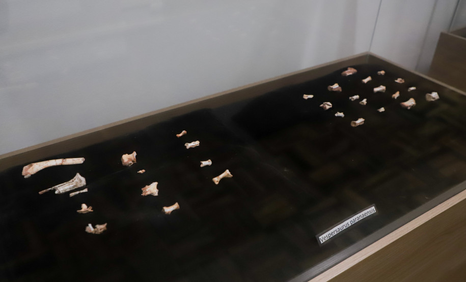 Vale dos Dinossauros 0019