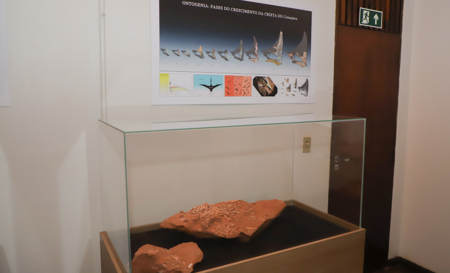 Vale dos Dinossauros 0016