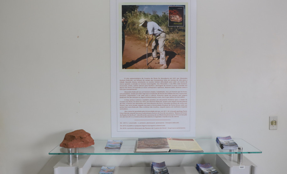 Vale dos Dinossauros 0020