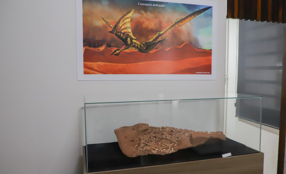 Vale dos Dinossauros 0017