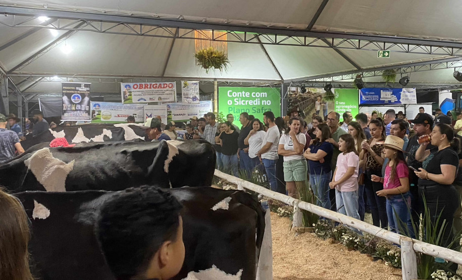 Feira do melado 007