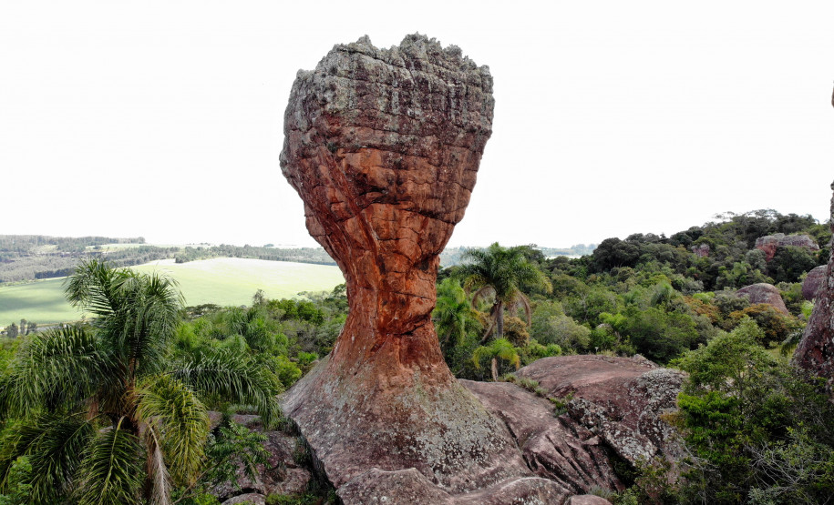 transformar o turismo do Paraná 0014