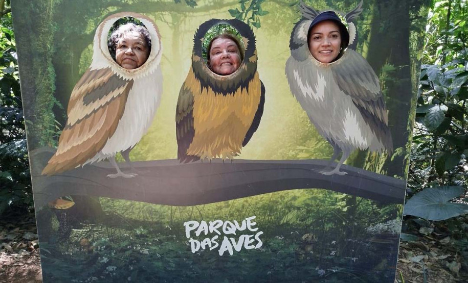 Paraná + Viagem 007