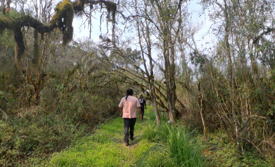 Rota dos Caminhos do Peabiru 002