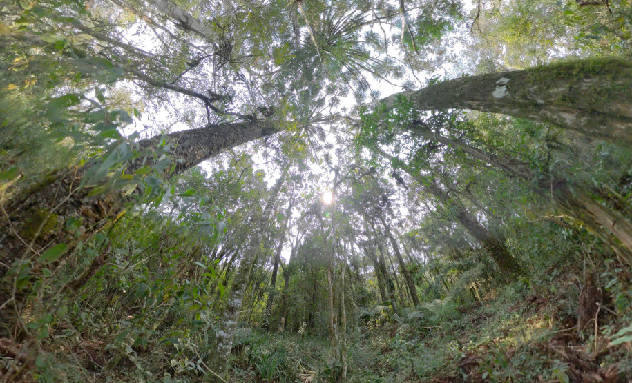 Rota dos Caminhos do Peabiru 003