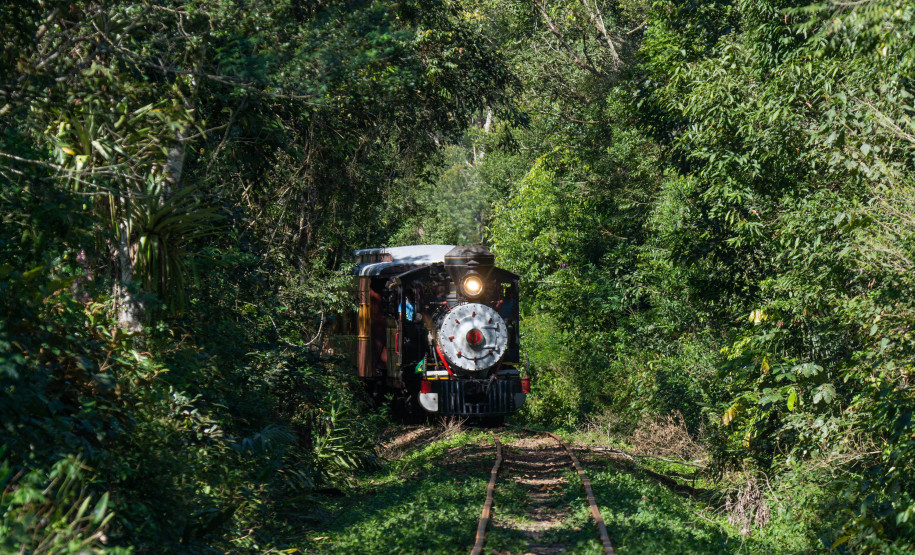 passeio de trem  do verão 006