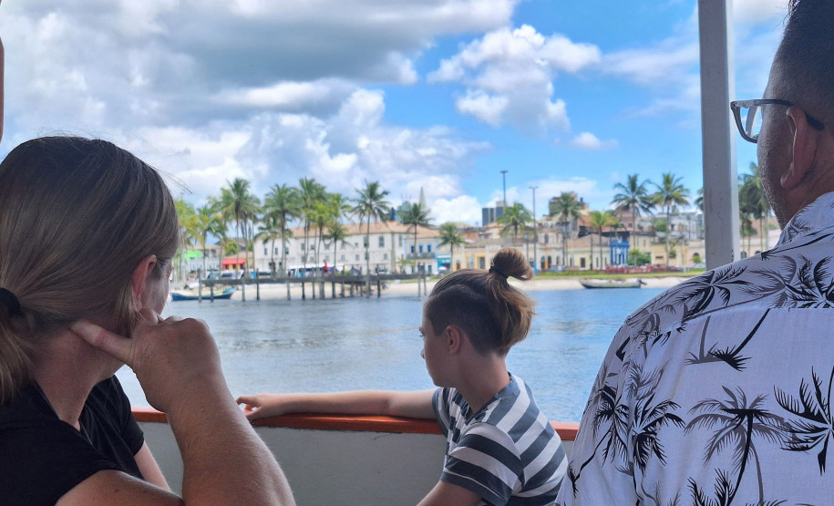 Observação de golfinhos 003