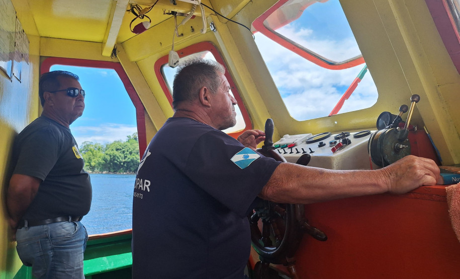 Observação de golfinhos 004