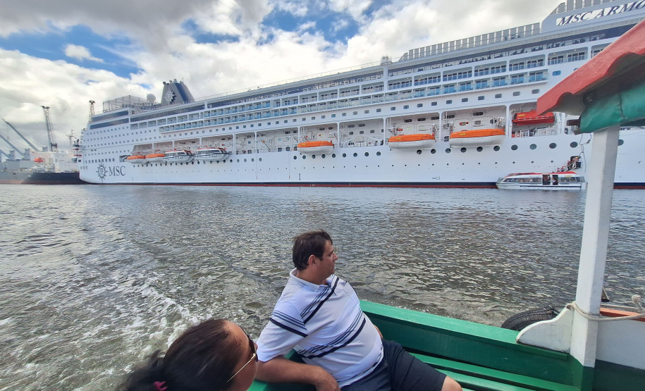 Observação de golfinhos 0010