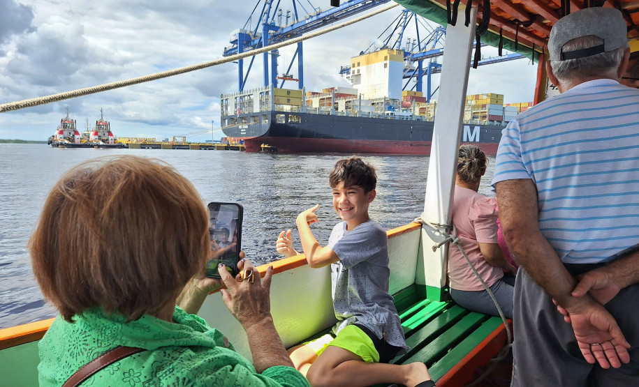 Observação de golfinhos 0012