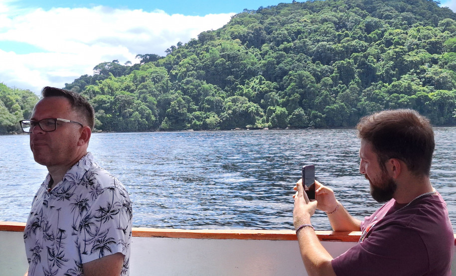 Observação de golfinhos 0013