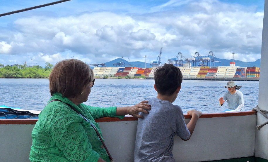 Observação de golfinhos 0014