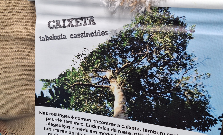 turistas de cruzeiro 008