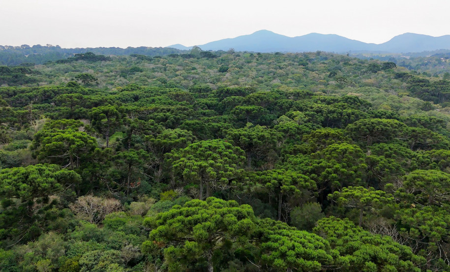 Rota Turística Caminhos do Peabiru 001