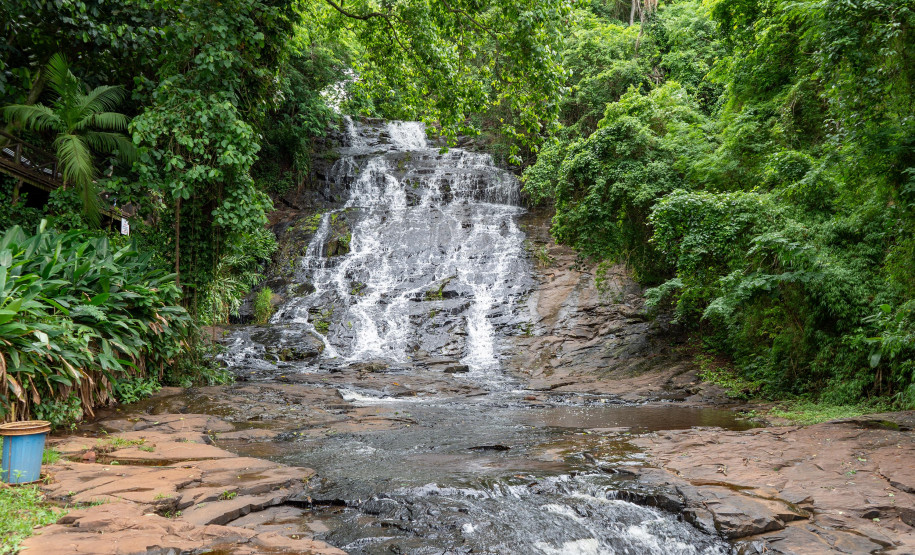Norte do Paraná 0014