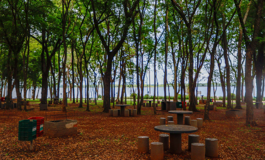 Oeste do Paraná 0020