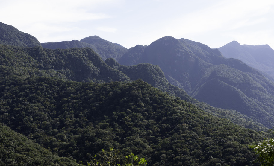 Passeio de trem do Paraná 006