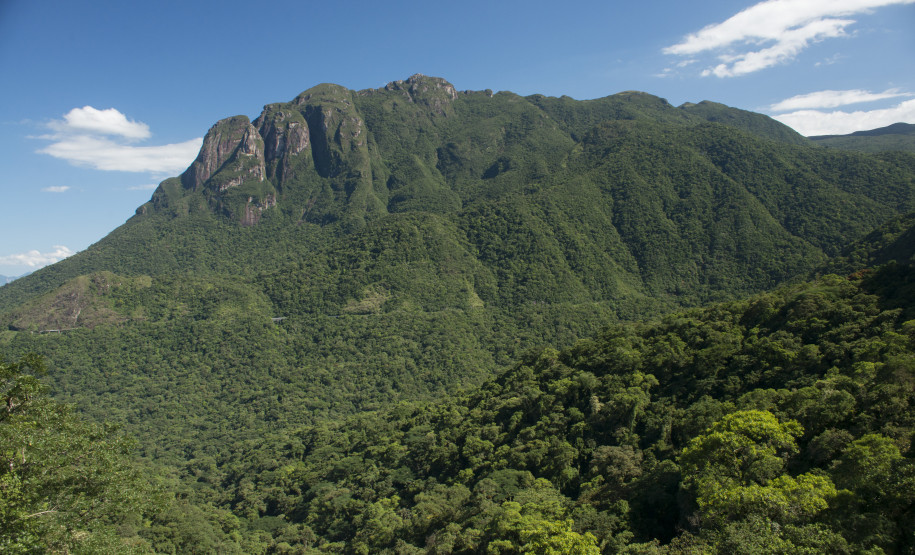 Passeio de trem do Paraná 009
