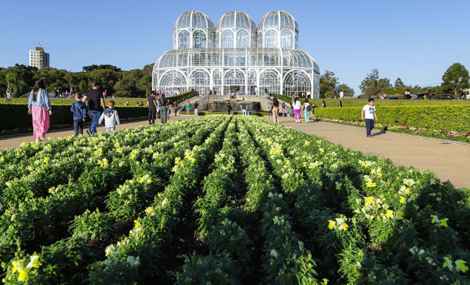 Acima da média nacional 005