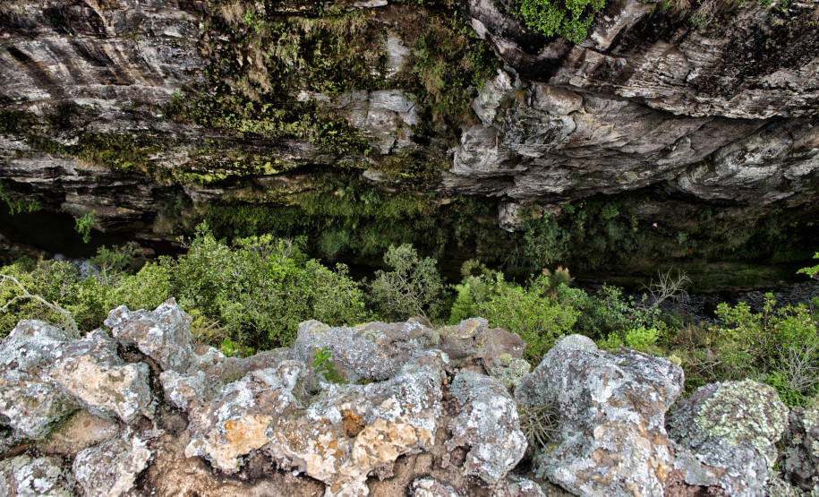 turista na natureza 002