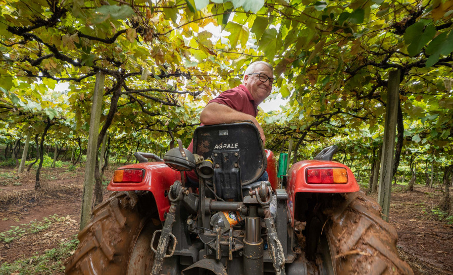 Capital do Vinho do Paraná, Bituruna 001