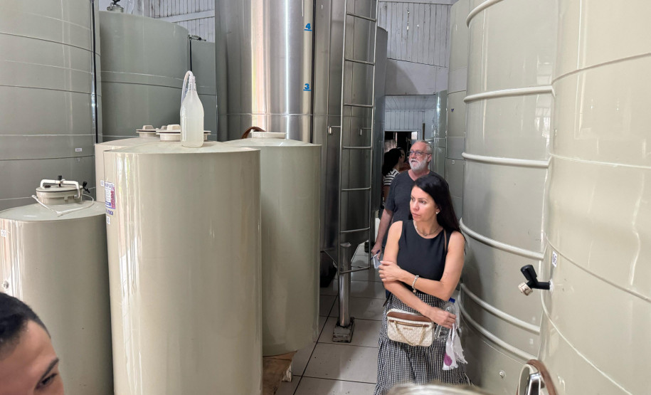 Capital do Vinho do Paraná, Bituruna 0011