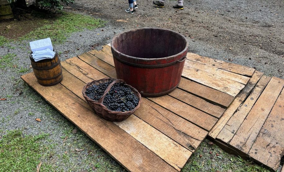 Capital do Vinho do Paraná, Bituruna 0015