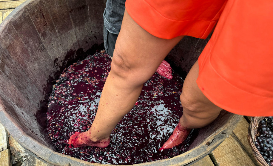 Capital do Vinho do Paraná, Bituruna 0018