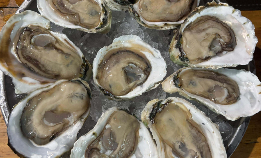 Expo Turismo Paraná 007