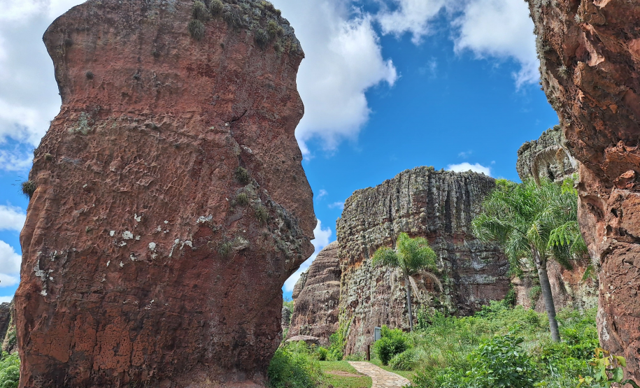 Viajantes + Seguras 009