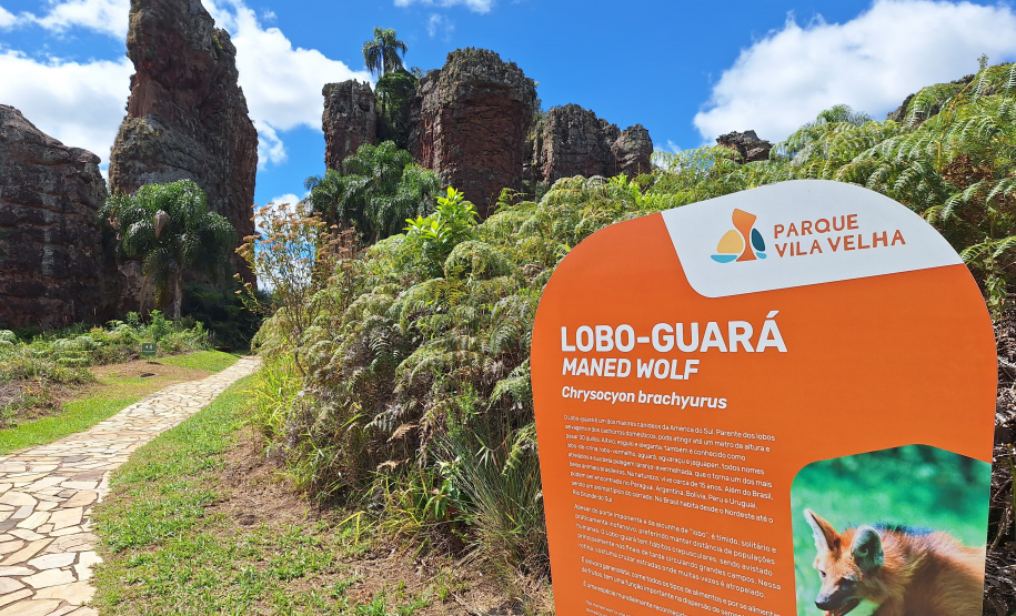 Viajantes + Seguras 0010