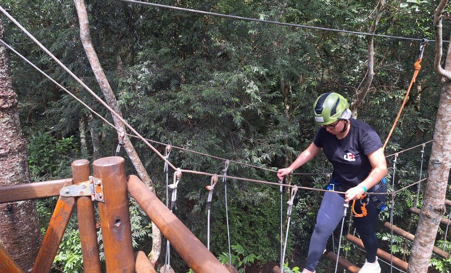 Viajantes + Seguras 0015