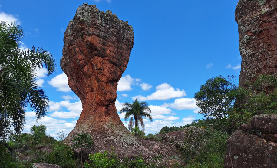 Viajantes + Seguras 004