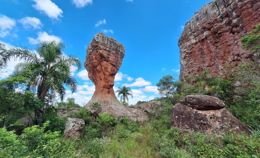 Viajantes + Seguras 005