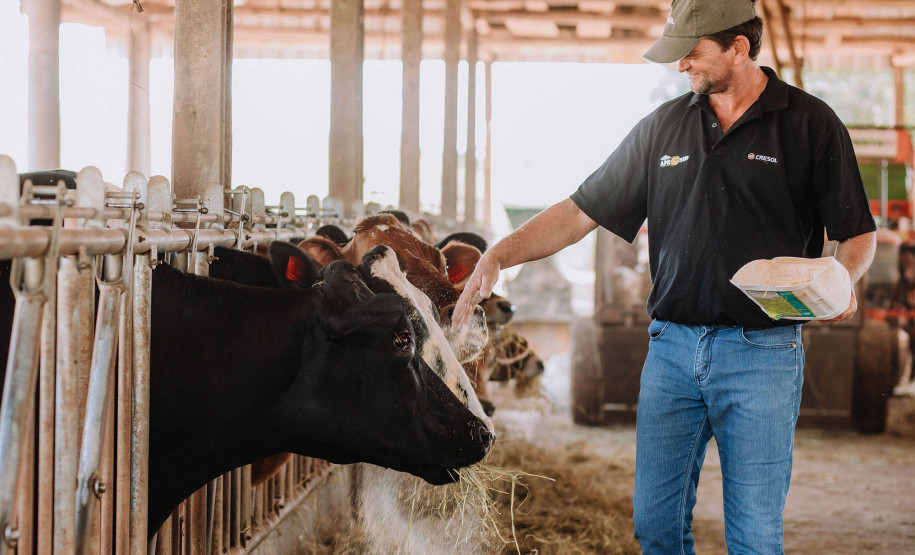 Queijo colonial do Sudoeste 002