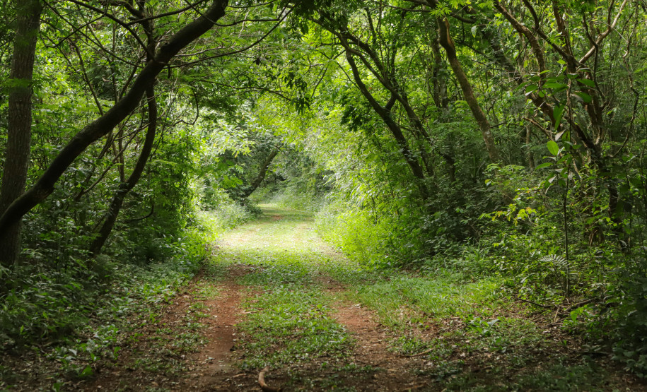Caminhos do Peabiru 002