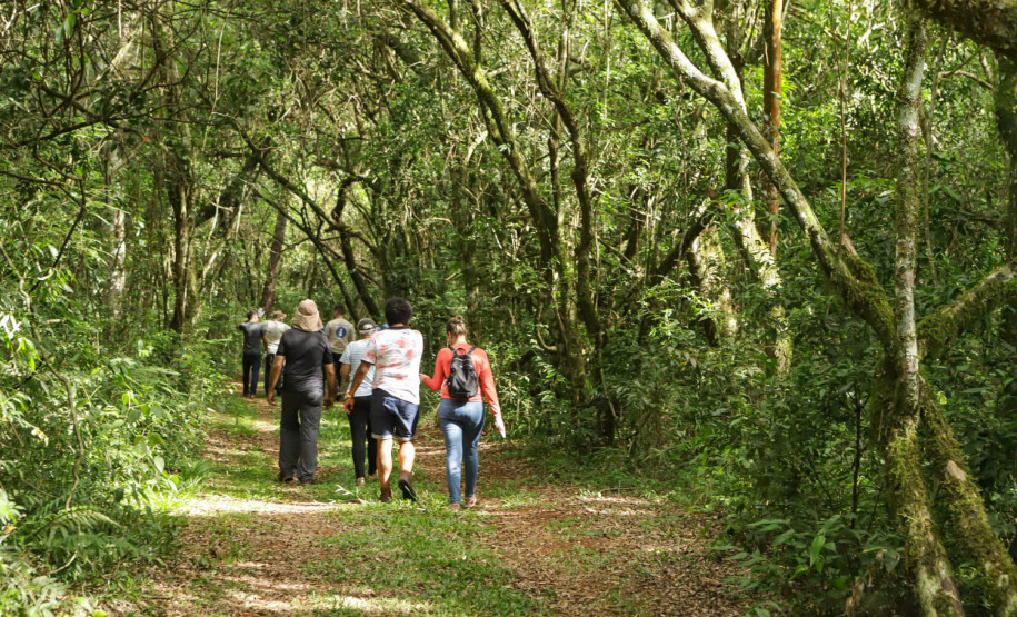 Caminhos do Peabiru: Lapa e Curitiba recebem oficinas para mapear rota turística milenar Foto: Roberto Dziura Jr/AEN