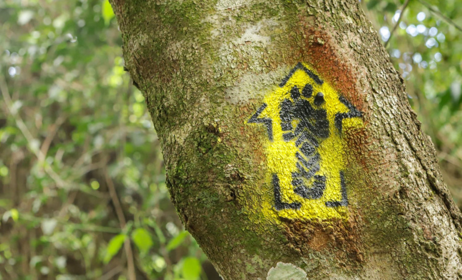 Caminhos do Peabiru: Lapa e Curitiba recebem oficinas para mapear rota turística milenar Foto: Roberto Dziura Jr/AEN