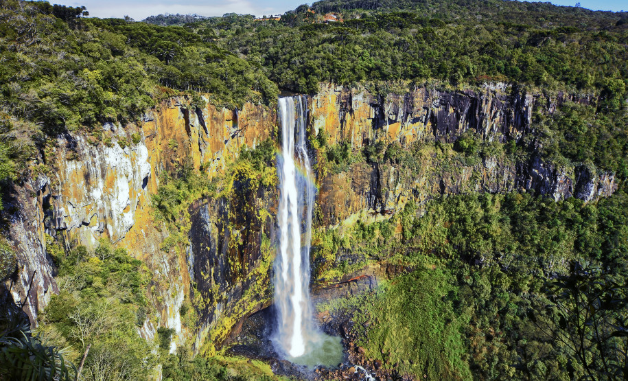 Férias escolares 004