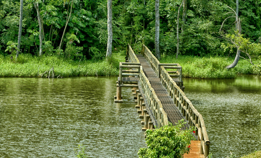 Férias escolares 003