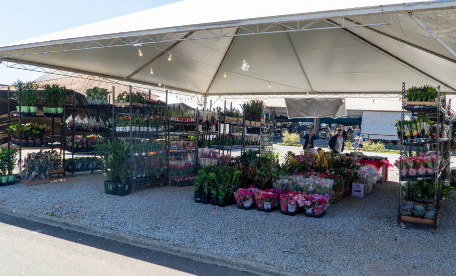 festival da primavera