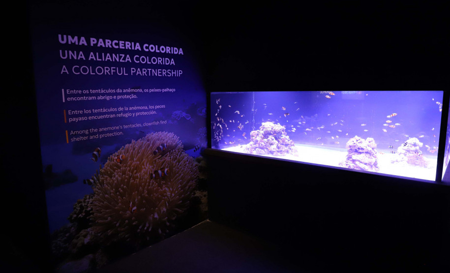 Foz do Iguaçu ganha um dos maiores aquários da América do Sul