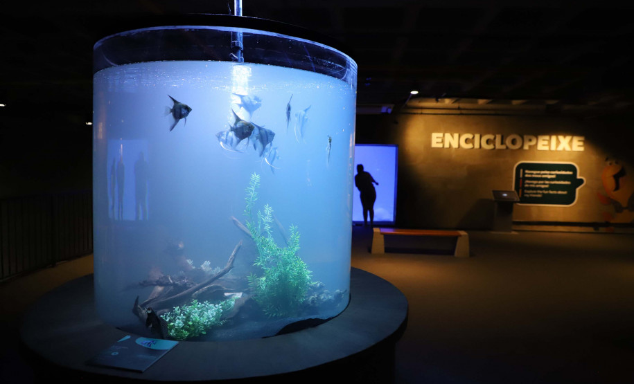 Foz do Iguaçu ganha um dos maiores aquários da América do Sul