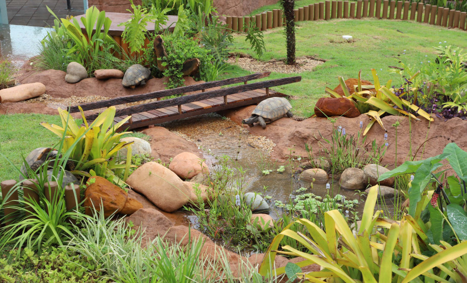 Foz do Iguaçu ganha um dos maiores aquários da América do Sul