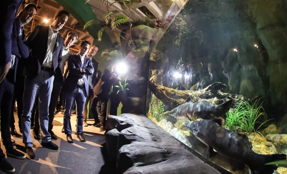 Foz do Iguaçu ganha um dos maiores aquários da América do Sul