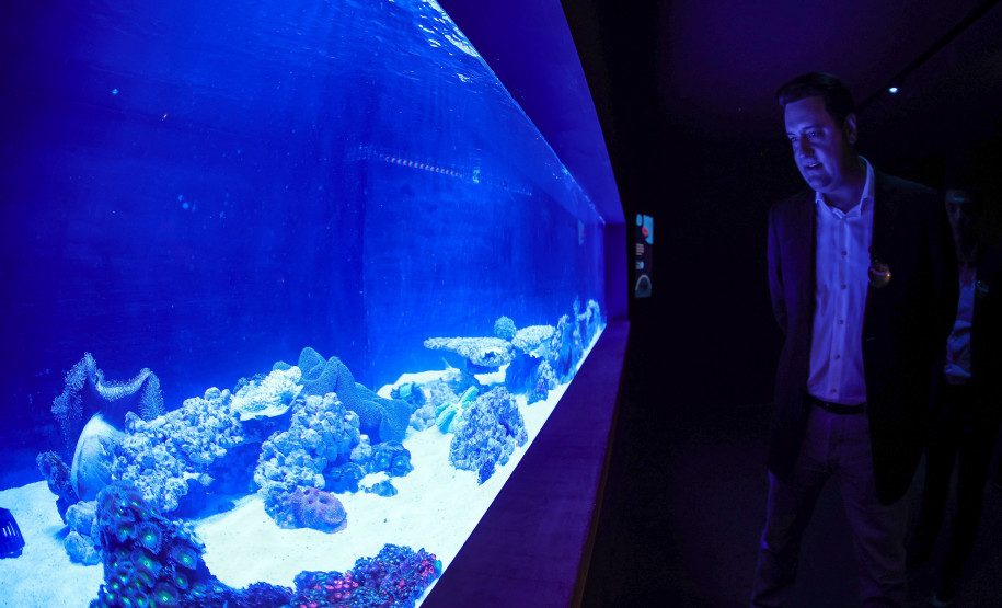 Foz do Iguaçu ganha um dos maiores aquários da América do Sul