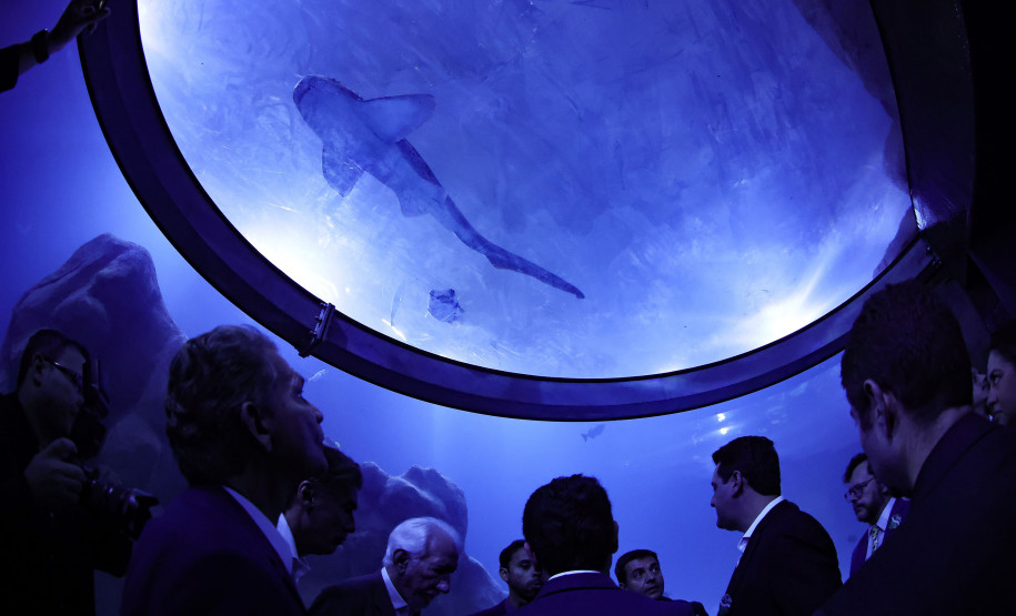 Foz do Iguaçu ganha um dos maiores aquários da América do Sul