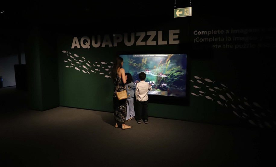 Economia aquecida: turismo e serviços crescem no Paraná em 2025, aponta pesquisa do IBGE