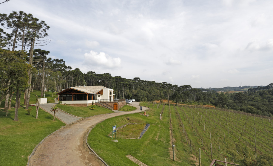 Turismo Rural no Paraná: pesquisa mostra expansão e qualificação no setor